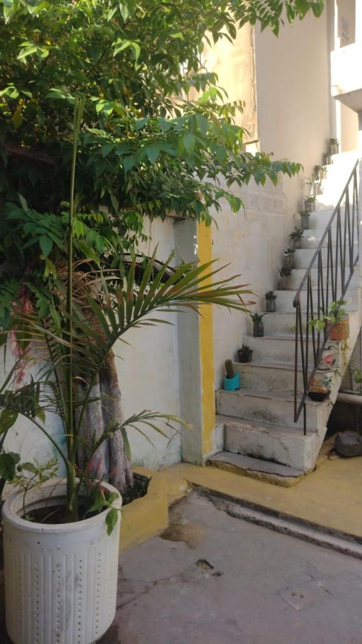 Residence Girassol 贝伦 外观 照片