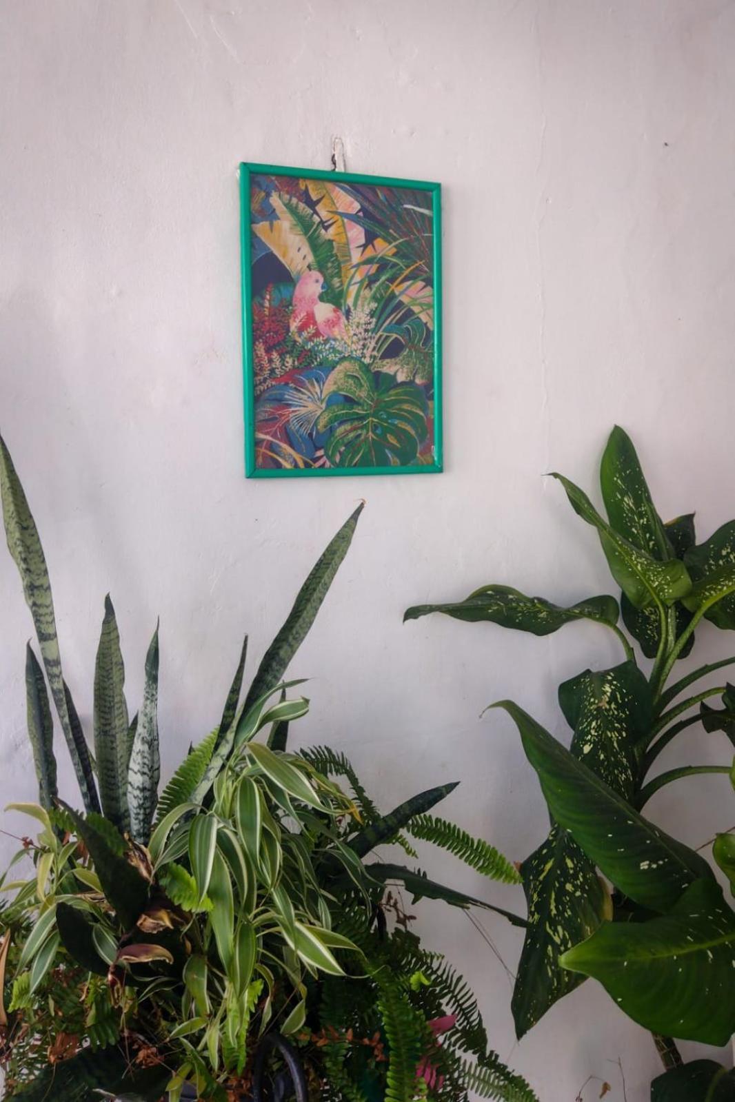 Residence Girassol 贝伦 外观 照片